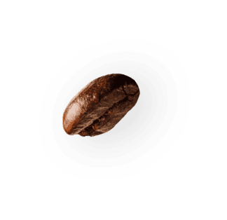 demo-attachment-36-coffee-beans-P4MXYZD@2x